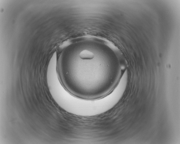 X0000087591298200705112253