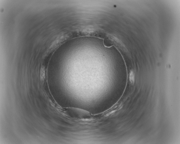 X0000087591299200705112253