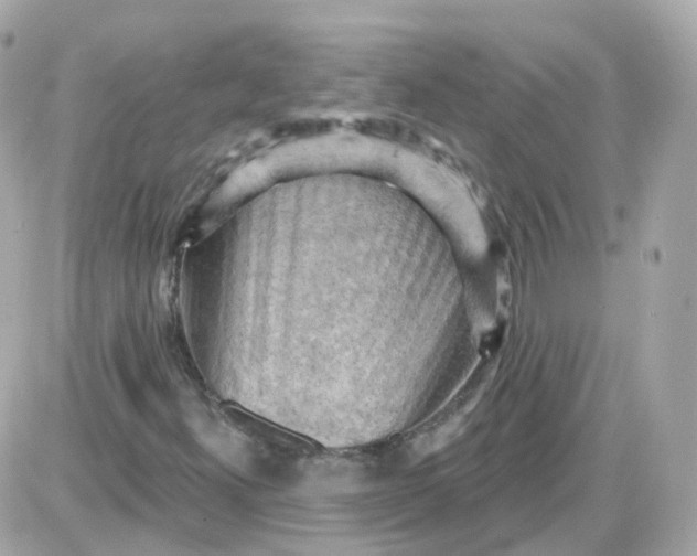 X0000087591300200705112253