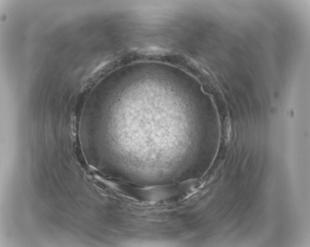 X0000087591301200705112253