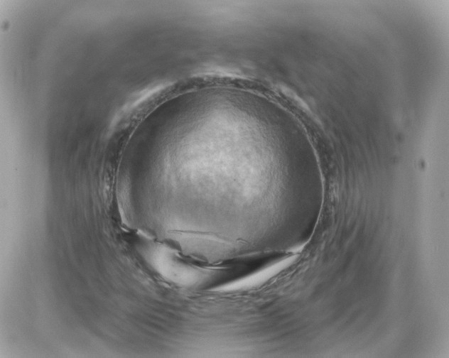 X0000087591303200705112253