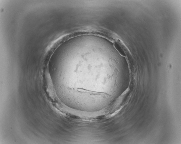 X0000087591304200705112253