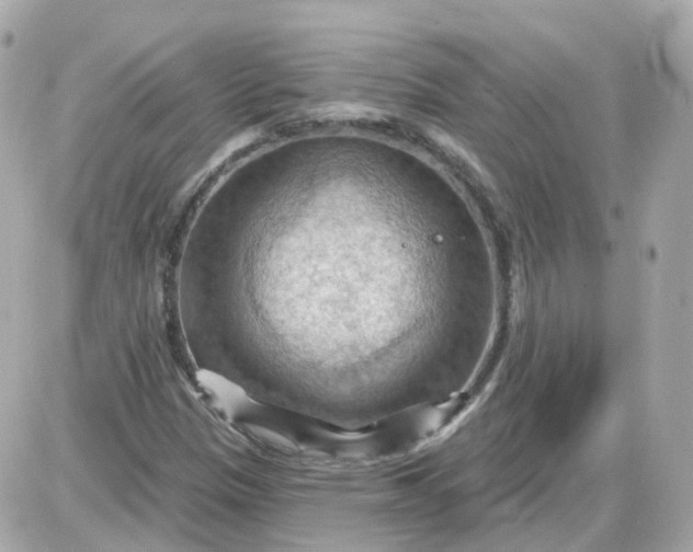 X0000087591305200705112253