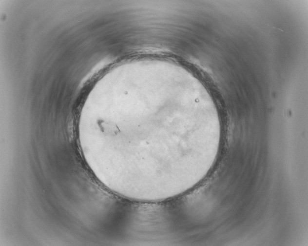 X0000087591306200705112253