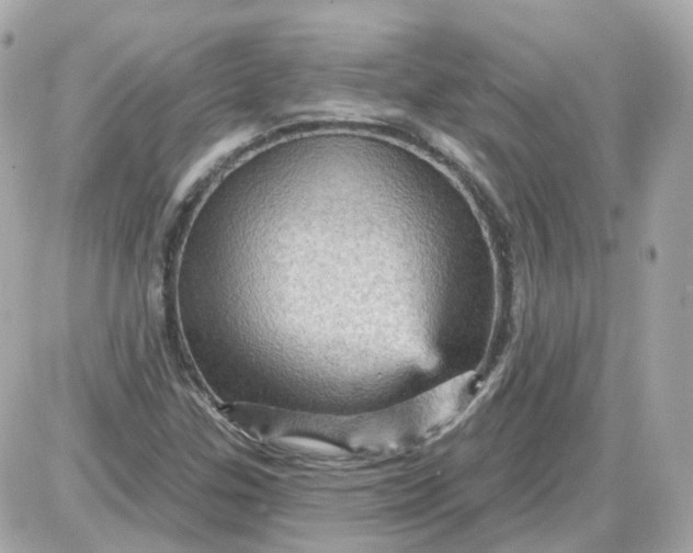 X0000087591307200705112253