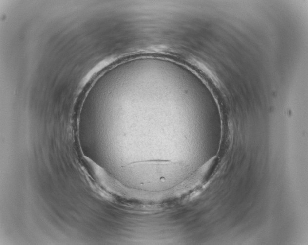 X0000087591308200705112253