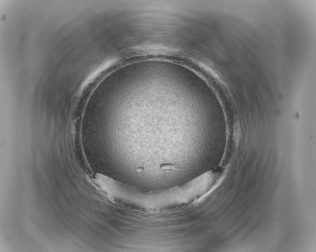 X0000087591309200705112253