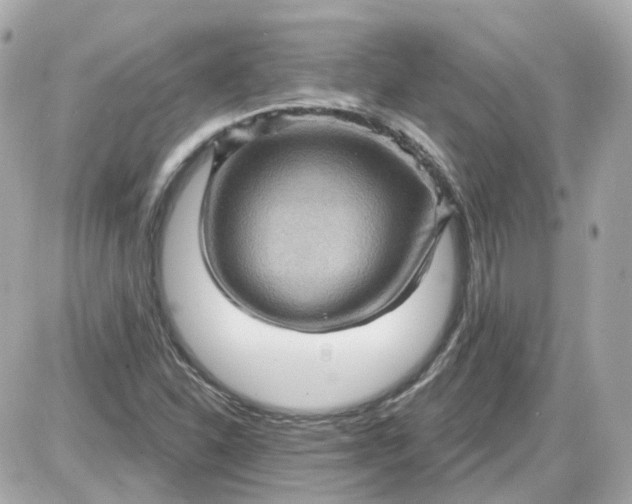 X0000087591310200705112253