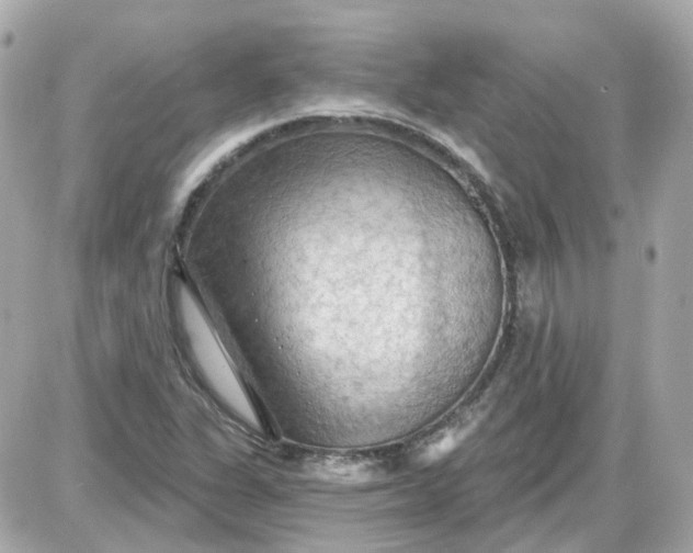 X0000087591311200705112253