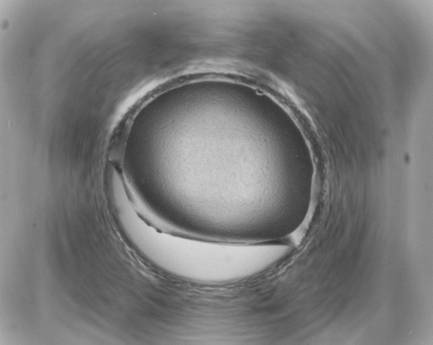 X0000087591312200705112253