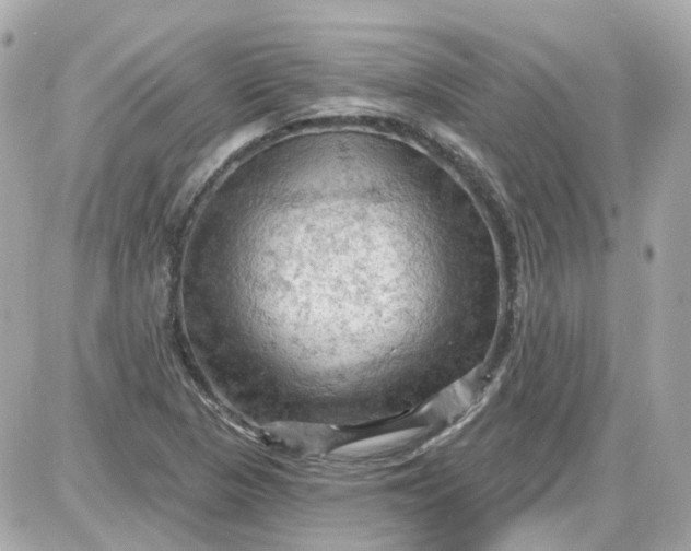 X0000087591313200705112253