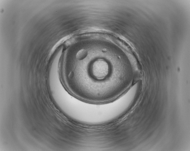 X0000087591314200705112253