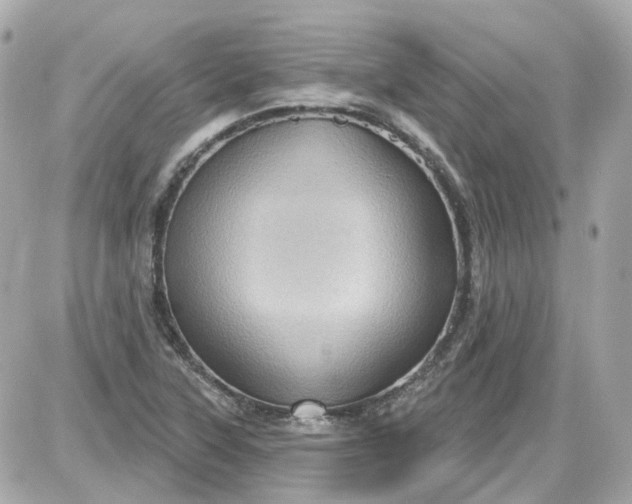 X0000087591315200705112253