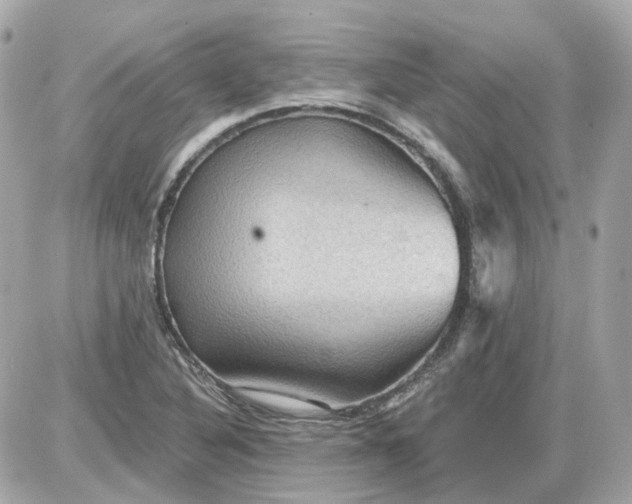 X0000087591316200705112253