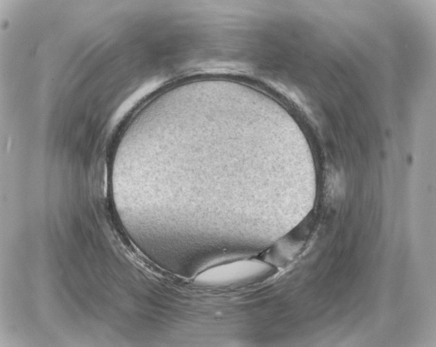 X0000087591317200705112253