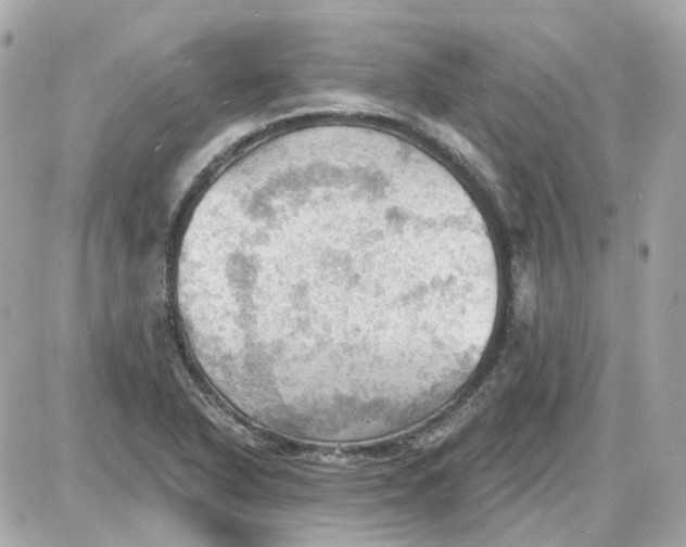 X0000087591318200705112253