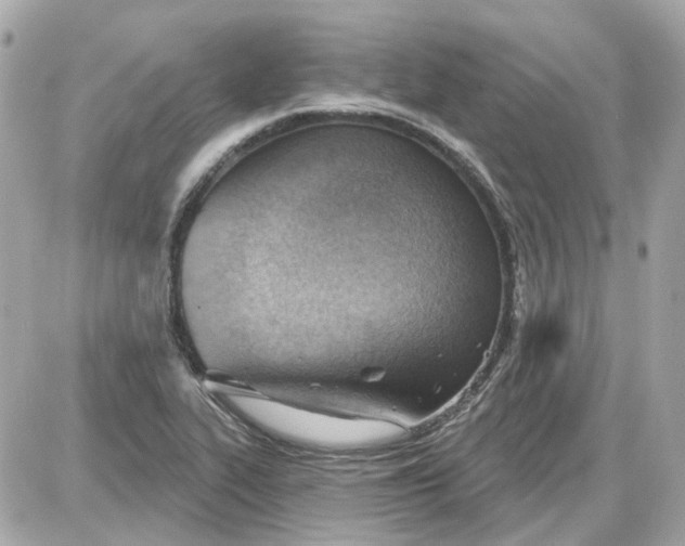 X0000087591319200705112253