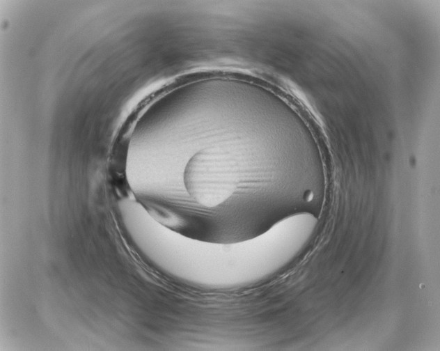 X0000087591320200705112253