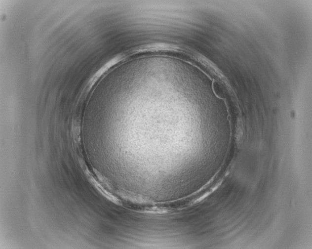 X0000087591321200705112253