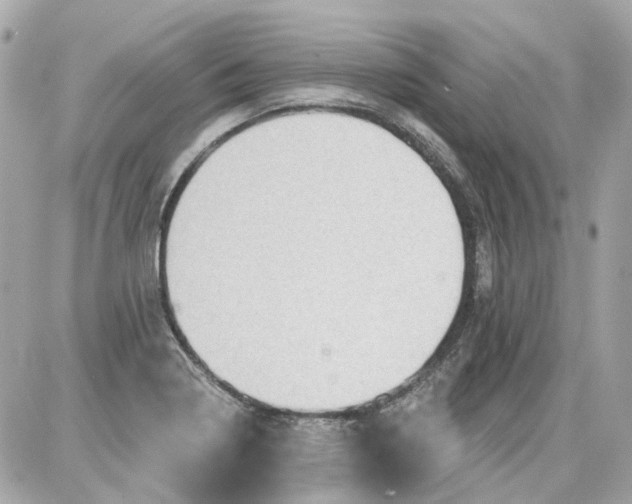 X0000087591322200705112253