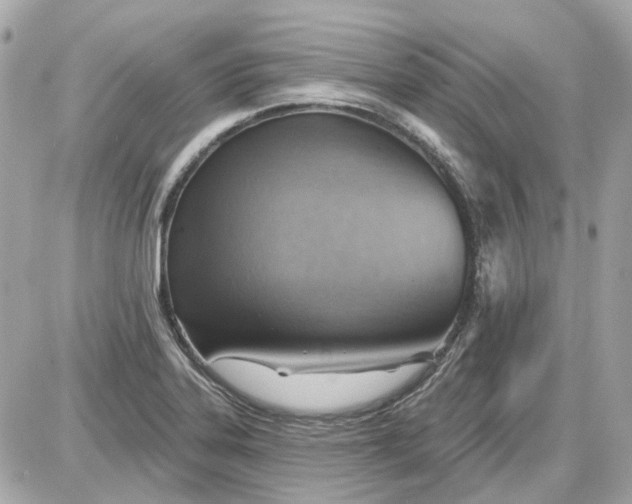 X0000087591323200705112253