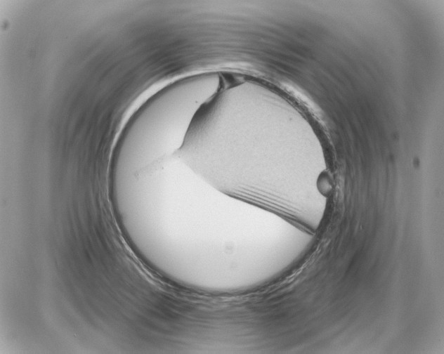 X0000087591324200705112253