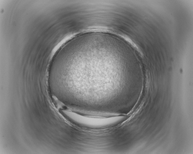 X0000087591325200705112253