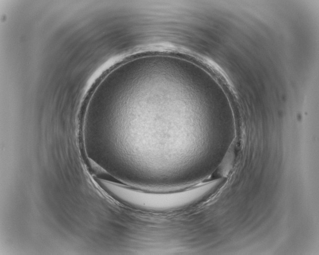 X0000087591326200705112253