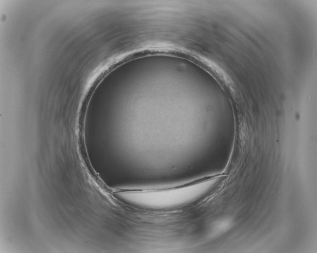 X0000087591327200705112253