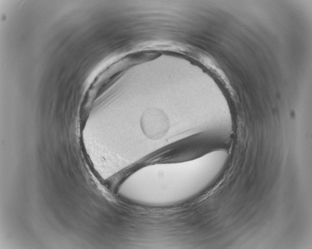 X0000087591328200705112253