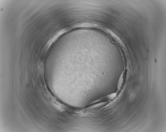 X0000087591329200705112253