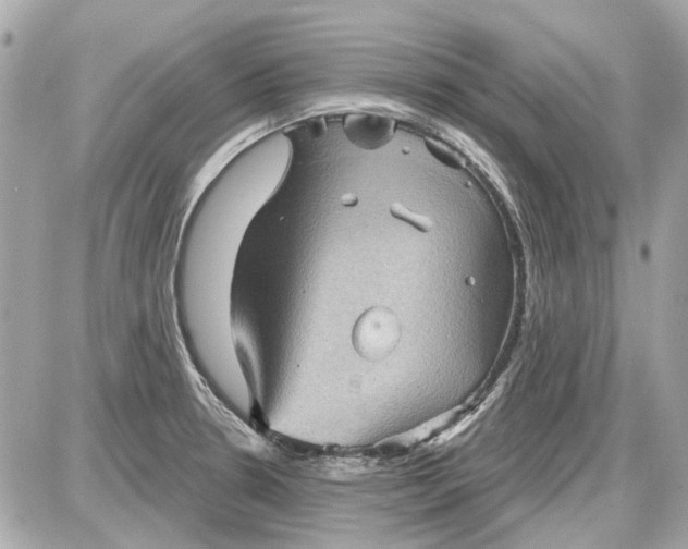 X0000087591330200705112253