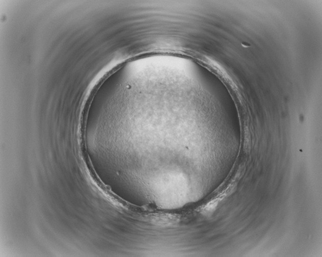 X0000087591331200705112253