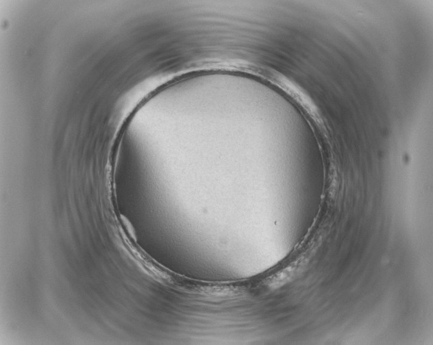 X0000087591332200705112253