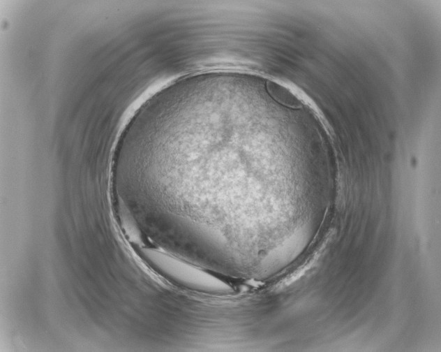 X0000087591333200705112253