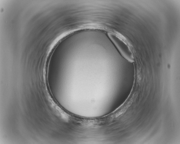 X0000087591334200705112253