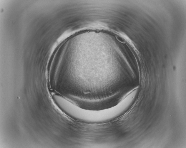 X0000087591335200705112253