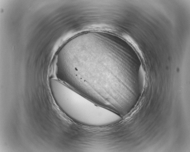 X0000087591336200705112253