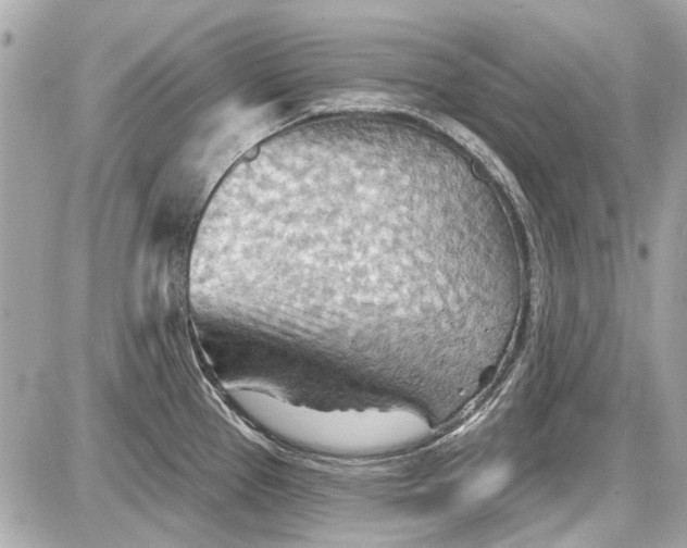 X0000087591337200705112253