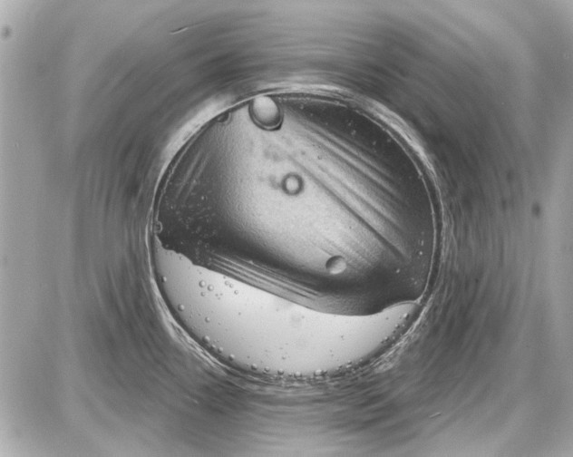 X0000087591338200705112253