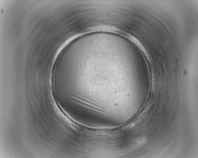 X0000087591339200705112253