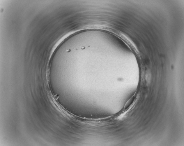 X0000087591340200705112253