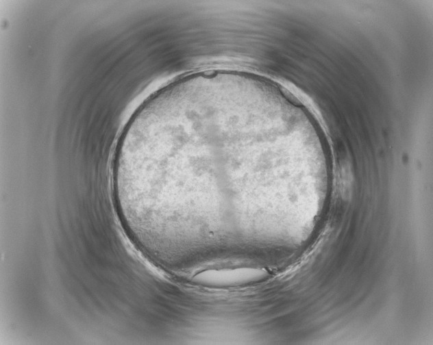 X0000087591341200705112253