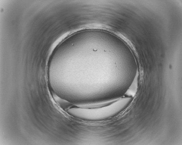 X0000087591342200705112254