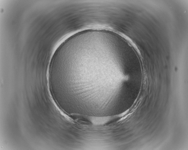 X0000087591343200705112254