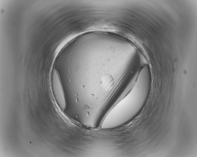 X0000087591344200705112254