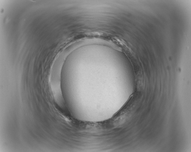 X0000087591345200705112253