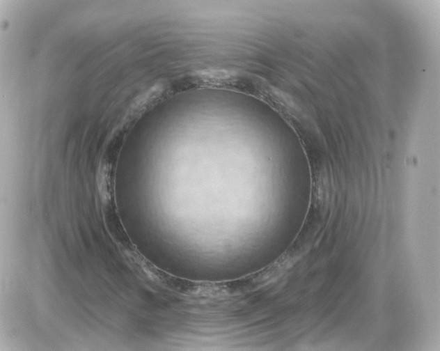 X0000087591346200705112253