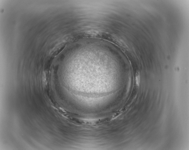 X0000087591347200705112253