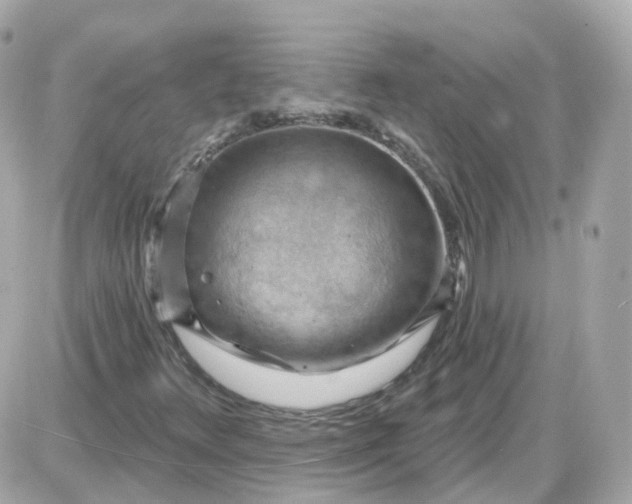 X0000087591348200705112253